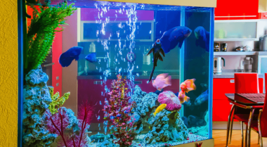 创建主题水族造景