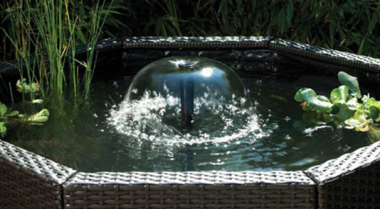 一小时建成的池塘