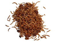 池塘鱼食完全指南