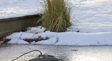 冬季10项基本池塘养护任务