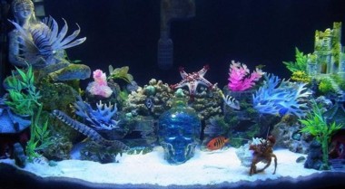 高氨、亚硝酸盐和硝酸盐的危害