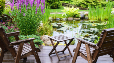 如何成为更好的池塘养护者