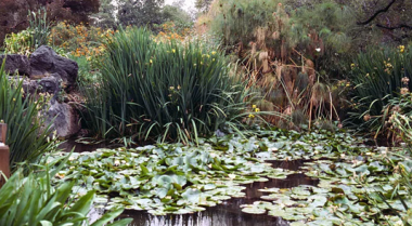 池塘应该多深？