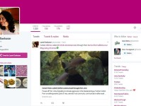 慈鲷兼容性：水族箱趋势