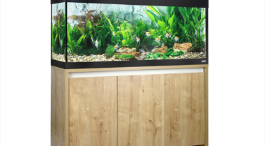 我需要哪种热带鱼水族箱？