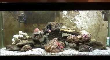 鱼缸准备指南：从规划到开缸的全流程解析