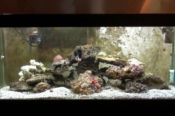 鱼缸准备指南：从规划到开缸的全流程解析