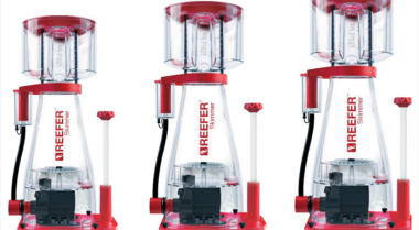 蛋白质分离器如何工作？