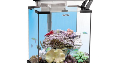 纳米鱼缸：小而完美