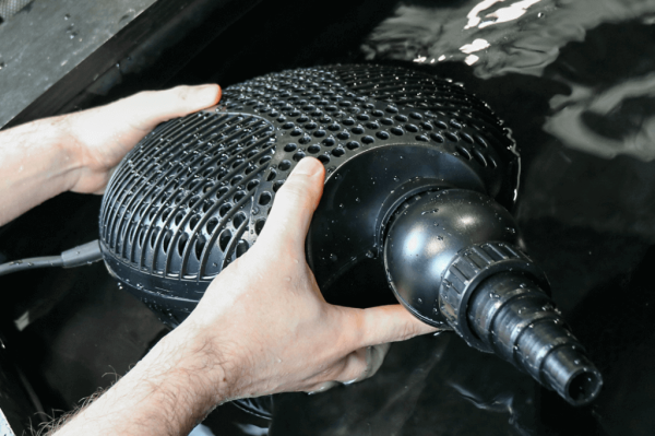 池塘水泵完全指南