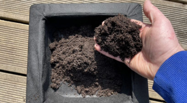 设置漂浮式池塘植物套装