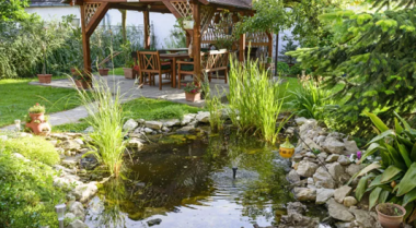 秋天还能建池塘吗？