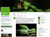 水族箱造景：水族箱趋势