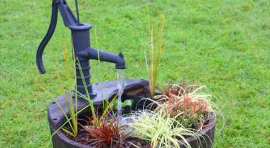 如何用容器建造小型花园池塘