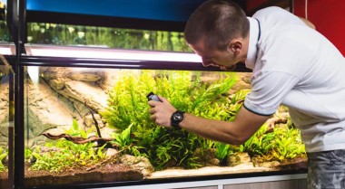 如何清洁热带鱼缸