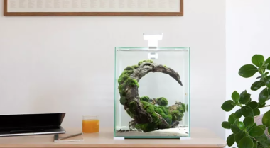 生活方式水族箱：创新水族箱设计