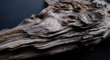 如何在水族箱中使用沉木