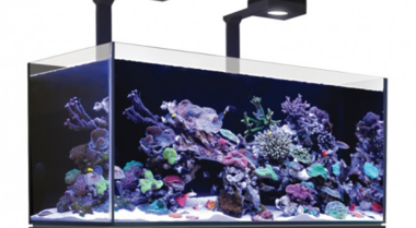 如何降低海水缸中的硝酸盐含量