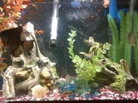 过滤介质类型概述