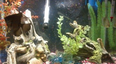 过滤介质类型概述