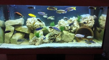 在水族箱中堆叠岩石