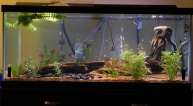 水族箱开缸流程