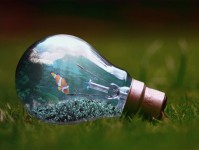 科技如何改变水族爱好？