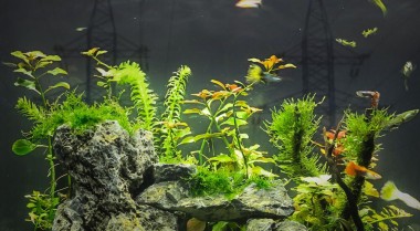 水族箱耗电量知多少？