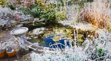 冬季如何为池塘保温