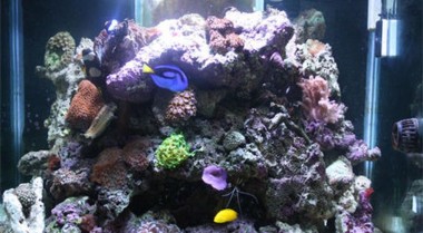 海水水族箱的反渗透处理