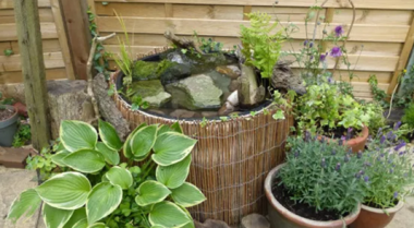 预算有限的池塘创意