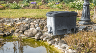 池塘过滤器完全指南