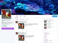 慈鲷兼容性：水族箱趋势