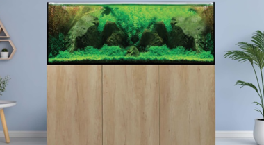 如何建造水族箱 - DIY鱼缸