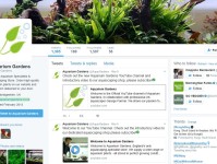 水族箱造景：水族箱趋势