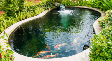 池塘容积计算器 - 我的池塘有多少加仑水？