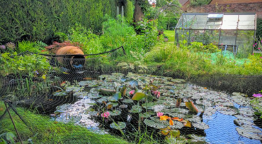 如何在不排水的情况下清洁池塘