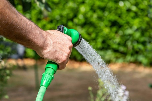 英国水管禁令对池塘有何影响？