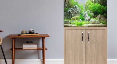 如何换水而不杀死鱼？