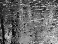 如何为池塘做冬季防护