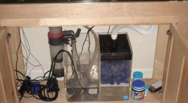 水族箱水质的选择与调节