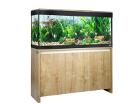 我想开始养鱼，我需要知道什么？