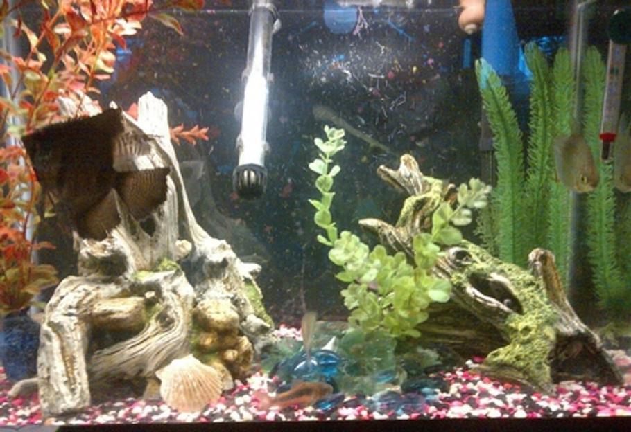 过滤介质类型概述