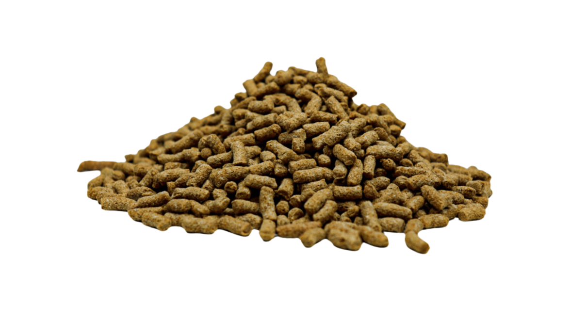 池塘棒是一种经济实惠且富含营养的池塘鱼饲料