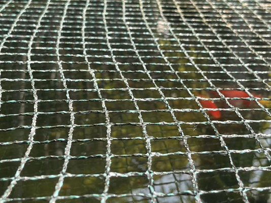 保护池塘中的野生动物