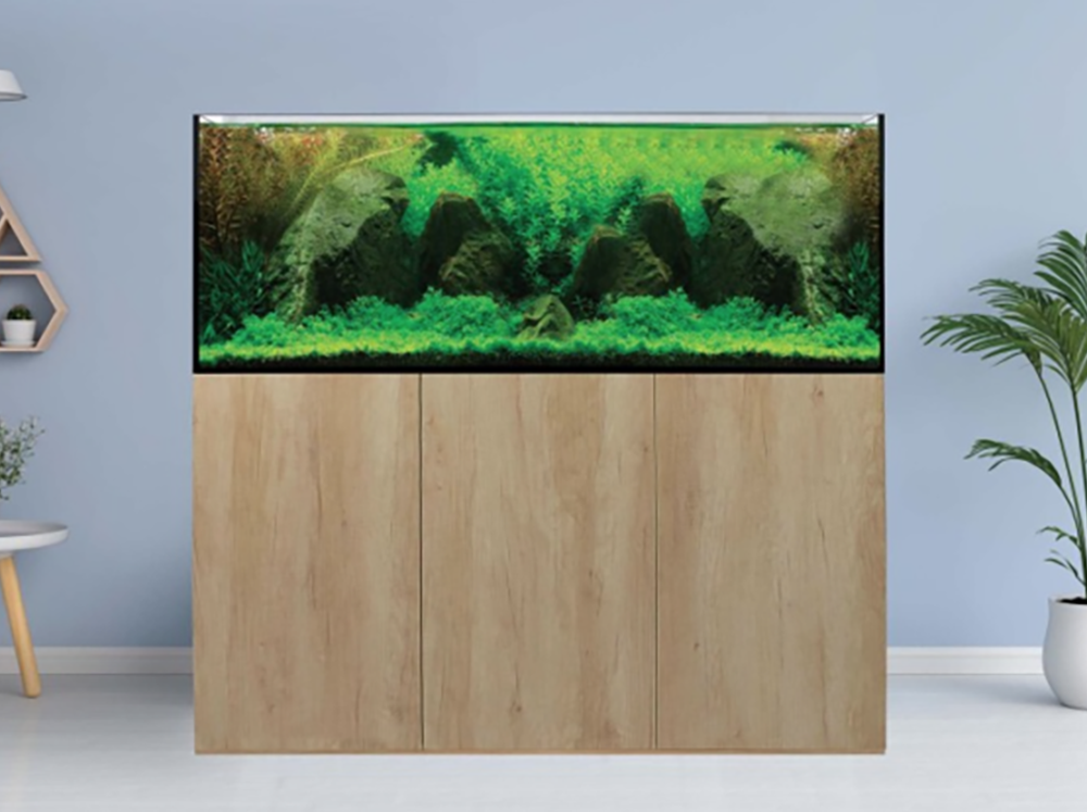 如何建造一个水族箱 - 自制鱼缸