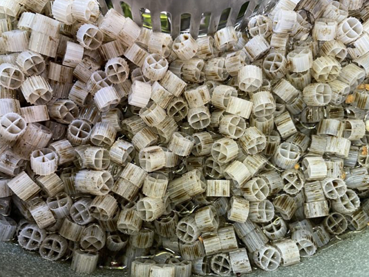 我应该多久清洗一次我的池塘过滤器？