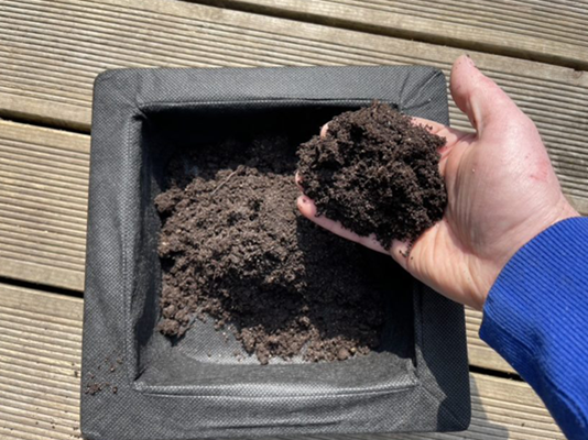 设置浮水池塘植物套件