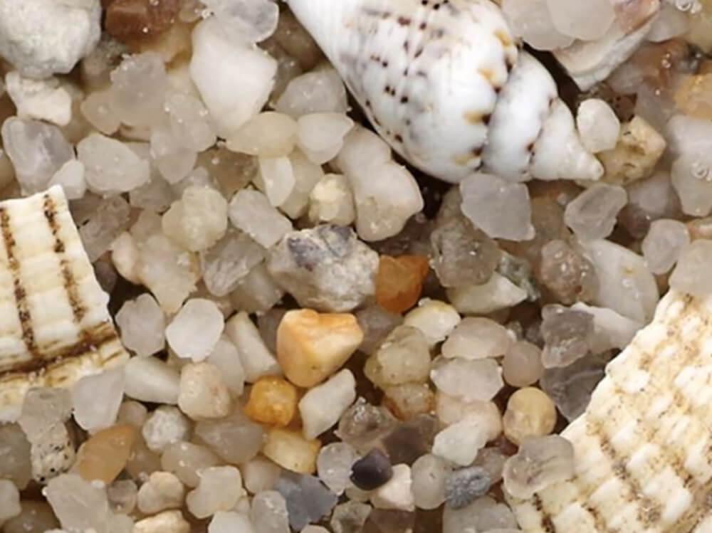 什么是最佳的水族箱底砂？