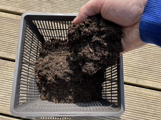 如何设置池塘植物套件